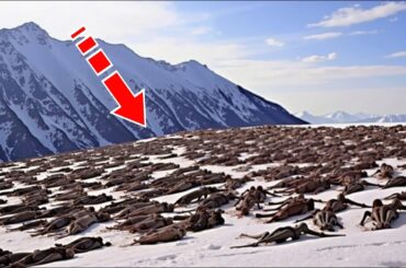 Дрон заметил на горе что-то жуткое. Вы не поверите, что он обнаружил!