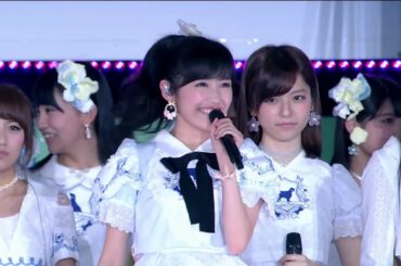 AKB48 ラブラドール・レトリバー Labrador Retriever RH2014