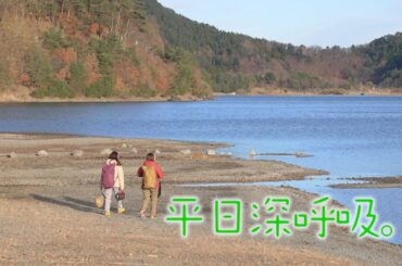 【#桑原由気 #高田憂希】「平日深呼吸。」# 56番宣｜AT-Xにて2/3（月）20:30～放送！