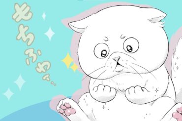 【CV：内田真礼】もちふわぁなブサ猫になった聖女がメカクレイケメン騎士に溺愛されちゃう!?『根暗騎士による溺愛満喫中のブサ猫、実は聖女です！』【ロマンス】【聖女】【PV】