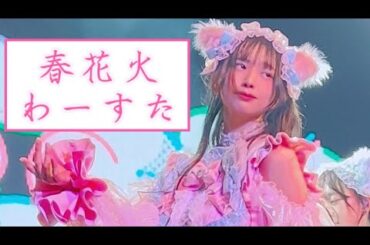 わーすた (WASUTA) 「春花火」(Haru hanabi) 三品瑠香推しカメラ 2025.01.25 わーすた ONEMAN LIVE in TAIWAN @Breeze MEGA Studio