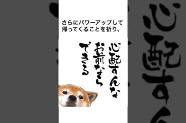 福田みゆの今後について#豆知識 #雑学 #アイドル #ライブ #neojaponism#福田みゆ #頑張れふくだみ#仮面ライダーセイバー