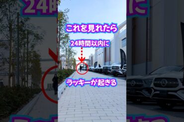 見ると⚠️24時間以内に⚠️ラッキーが来る‼️ #奇跡 #当選 #幸運