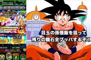 【アニメ】10周年後半ガチャの頂伝説降臨祭を120連する孫悟空