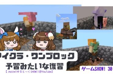 【予習＆復習版】マイクラ・ワンブロックチャレンジをまたしたいんだよ（2025/2/23に生配信でね）