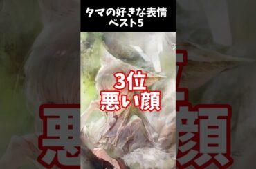 【メメントモリ】タマ様の好きな表情ベスト5 #shorts