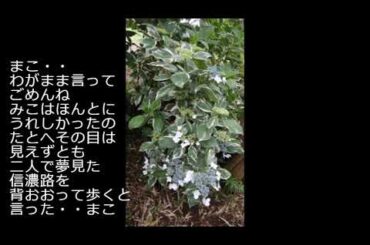 昭和の歌３１８０＃愛と死を見つめて　　青山和子