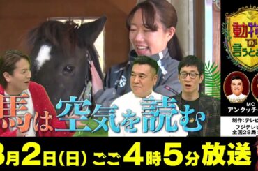 【馬はヒトの気持ちが読める！？】3/2（日）フジテレビ系全国ネット『動物さまの言うとおり』みどころ30秒　＃アンタッチャブル　＃矢田亜希子　＃狩野英孝　＃高山一実　＃山之内すず　＃コカドケンタロウ