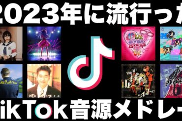 【TikTok】全部歌えたら依存性！？2023年に流行ったTikTok音源メドレー！【最後には・・・】