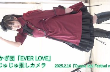 あかぎ団「EVER LOVE」じゅじゅ推しカメラ＿2025.2.16『Oyama Idol Festival vol.2』エヴァウイン小山プレミアムスィーツ