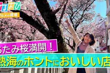 【ひるおび】熱海市糸川遊歩道の満開の「あたみ桜」と絶品グルメを御手洗アナがご紹介！