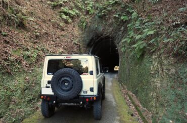 素掘トンネル群を抜けて鋸南町の頼朝桜と水仙（2025年2月）