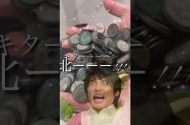 倉科カナさんの好きな人について考察する #ごっちゃん #小銭