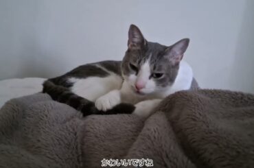 かわいいおしりだねアッシュくん