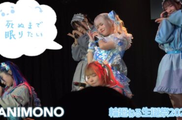 死ぬまで眠りたい - NANIMONO @ 輪廻ねる生誕祭2025