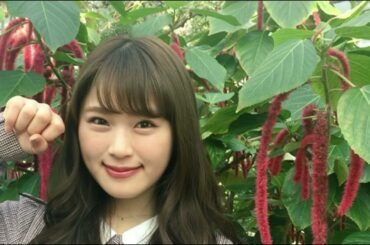 【それぞれの卒業】卒業公演する人。リストラされる人。