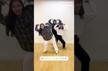 櫻坂46 猫の日♪増本綺良 向井純葉 遠藤光莉 井上梨名 武元唯衣 大沼晶保 2月22日