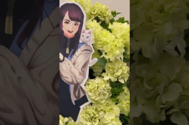 BanG Dream MyGO!!!!! 聲優見面會 青木陽菜 要樂奈 小日向美香 長崎爽世 林鼓子 椎名立希 花籃 #anime #バンドリ #ガルパ #アニメ #shorts #少女樂團派對