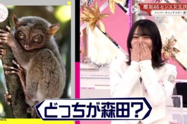 【櫻坂46】🌞🌞🌞「メンバーキャッチコピー選手権」