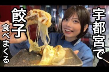 美味しい餃子が食べたくて、冬の宇都宮へひとり旅