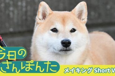 【公式】ドラマ『今日のさんぽんた』メイキング short ver.＜FOD＞