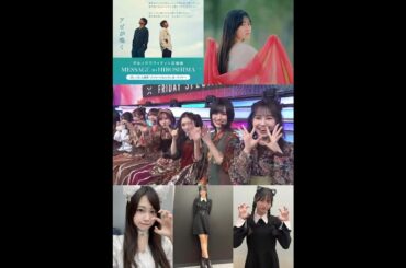 向井純葉『はいよろこんで』のいとはっちが可愛すぎる♩猫の日 櫻坂46