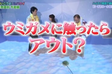 🆕着ぐるみ職人😑大家彩香😑