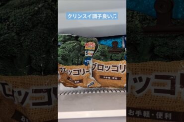 refrigerator 潮風のメロディ 南沙織 2025年2月21日