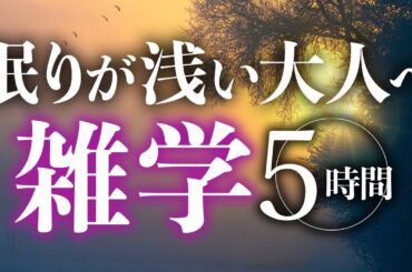 【睡眠導入】眠りが浅い大人へ雑学5時間【合成音声】