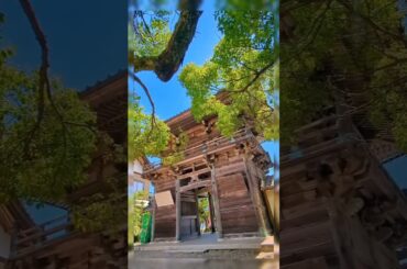 沢尻エリカ タイヨウのうた