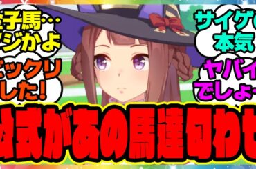 『新シナリオであの馬たちの匂わせ』に対するみんなの反応集 まとめ ウマ娘プリティーダービー レイミン 4周年アニバ オルフェーヴル アーモンドアイ メイケイエール ソダシ ヨカヨカ ウシュバテソーロ