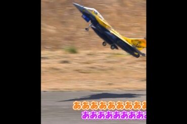 墜落を回避したラジコン飛行機