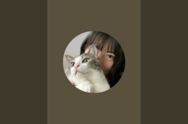 佐々木琴子とアッシュの成長記録 がライブ配信中！