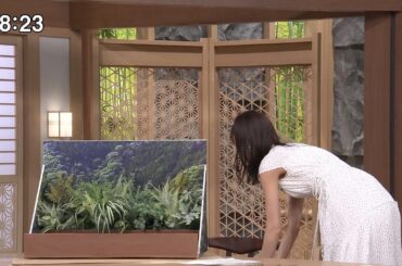 【杉浦みずき】お世辞抜きで凄いです...【女子アナ】