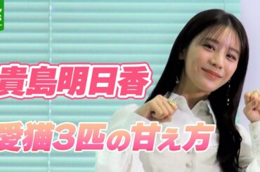 貴島明日香 「欲むきだしで」3匹の愛猫の甘え方を語る