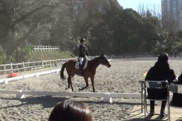 【2025年 青山学院⼤学対学習院⼤学⾺術定期戦】〈第 2 競技 ⾺場⾺術競技 第2課⽬B〉出水愛美香（大1）•秀桜