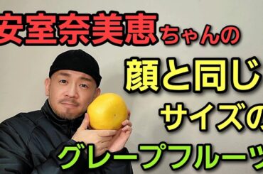 【アクシデントで中断】安室奈美恵ちゃんの顔と同じサイズのグレープフルーツを食べる配信🫸🫷
