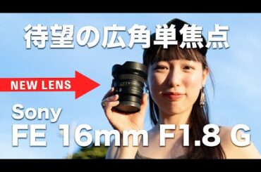 【先行レビュー】FE 16mm F1.8 G広角単焦点レンズ！美しいぼけと驚異の広角レンズが登場【Sony】