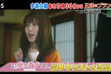 映画｢お嬢と番犬くん｣ 福本莉子＆ジェシー＆櫻井海音にインタビュー!!『王様のブランチ』3/1(土) 【TBS】