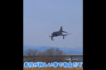 着陸するF-4 Phantom II　ラジコン飛行機