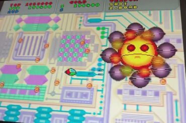 ②#星瑠菜🌼#花🌼#Reina👧✨#月咲らん🩷#丸上ひまり🌻#桜まほ🌸#宝寿柚花🌸#結莉愛❄️#唯花🌼#加藤礼愛💛#瓶野神音🫙#NMB48🐅#whitesuperiors⚪️#龍が如く6🐲🚙💨#雅🐼