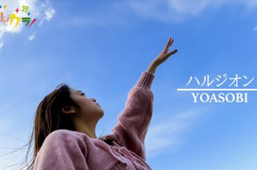 【Cover by よしカラ】YOASOBI「ハルジオン」/吉川茉優
