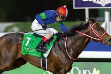 怪文書「パンサラッサの母」AI音楽