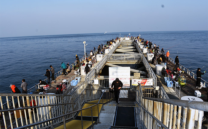 「アイドルの狩猟本能が覚醒！」NMB48平山真衣が成人後初の釣りでアジ爆釣　思わず悲鳴をあげたワケとは？