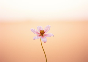 mitori、「祈り花」を配信開始｜THE MAGAZINE