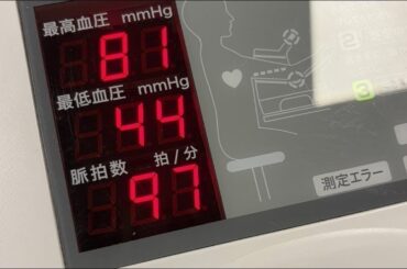 職でも探すか。