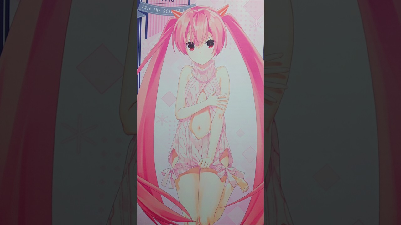 【🇯🇵旅日記】秋葉原ゲーマーズ:「緋弾のアリア」武偵高校購買部 タペストリー #Shorts 【🇯🇵旅日記】秋葉原ゲーマーズ:「緋弾のアリア」武偵高校購買部 タペストリー #Shorts