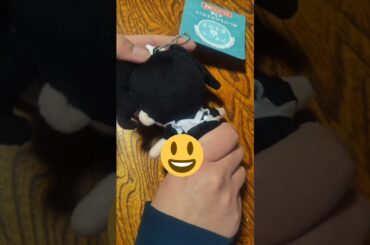 進藤あまねさんのぬいぐるみマスコット     #Shorts