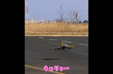 着陸に成功するDassault Rafale　ラジコン飛行機