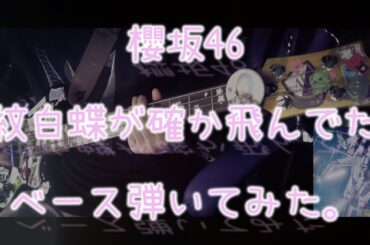 櫻坂46『紋白蝶が確か飛んでた』ベース弾いてみた。